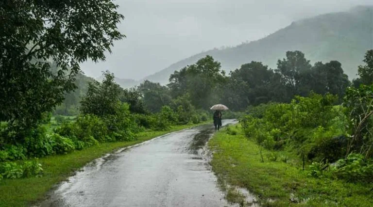 Maharashtra Rain Update : राज्यात या भागात विजांसह पावसाचा इशारा