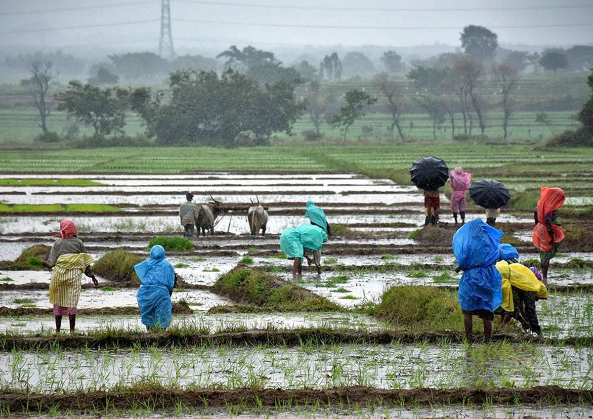 Post Monsoon Rain : मॉन्सूनोत्तर पाऊसही सरासरीपेक्षा अधिक